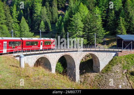 BERNINA Expresszug in der Nähe von Poschiavo, in der Region Bernina, Kanton Grisons, Schweiz. Stockfoto