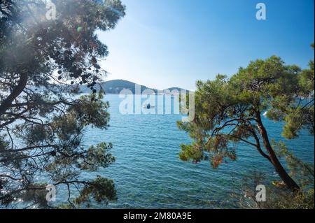 Wunderschöner Panoramablick auf das Schwarze Meer mit Yachten und Inseln im Hintergrund. Die Küste mit Bäumen und Kiefern an einem sonnigen Sommertag. Truthahn Stockfoto