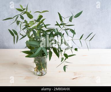 Strauß frischer Eukalyptus in einer Vase auf hellem Holzhintergrund. Speicherplatz kopieren. Stockfoto