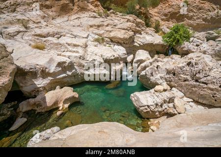 Kleine schmale weiße Steinschlucht mit türkisfarbenem Wasser im Wadi Bani Khalid, Oman. Schöner natürlicher Swimmingpool in arabischer Wüste. Stockfoto