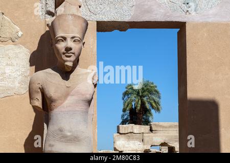 STATUE VON HAMUN-RA, BEZIRK VON AMUN-RE, GOTT VON THEBEN, HAUPTGÖTTIN IM ÄGYPTISCHEN PANTHEON, TEMPEL VON KARNAK, ANTIKE ÄGYPTISCHE STÄTTE AUS DER 13TH DYNASTIE, UNESCO-WELTKULTURERBE, LUXOR, ÄGYPTEN, AFRIKA Stockfoto