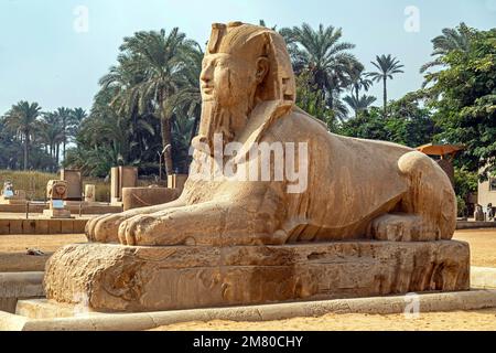 ALABASTER SPHINX VON MEMPHIS, DIE GRÖSSTE BEKANNTE STATUE IN ALABASTER, MIT RAHINA OPEN-AIR MUSEUM, WELTKULTURERBE DER UNESCO, KAIRO, ÄGYPTEN, AFRIKA Stockfoto