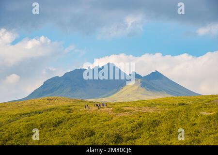 Svartifoss-Wasserfall im Skaftafell Vatnajokull-Nationalpark, Island, mit einer grünen, dramatischen Landschaft Stockfoto