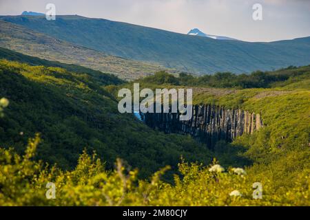 Svartifoss-Wasserfall im Skaftafell Vatnajokull-Nationalpark, Island, mit einer grünen, dramatischen Landschaft Stockfoto