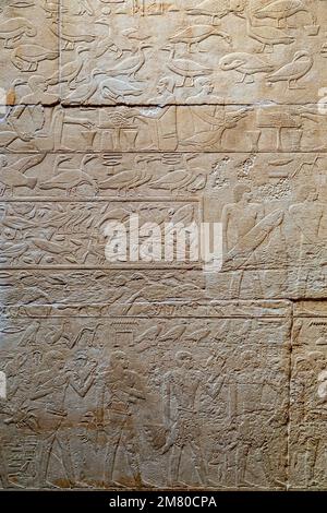 BAUERNARBEIT MIT EINER REPRÄSENTATION DER GÄNSEROUTE, BAS-RELIEF IN DER MASTABA VON KAGEMNI, WESIR WÄHREND DER HERRSCHAFT VON KÖNIG TETI, SAQQARA NEKROPOLE, REGION MEMPHIS, EHEMALIGE HAUPTSTADT DES ALTEN ÄGYPTEN, KAIRO, ÄGYPTEN, AFRIKA Stockfoto