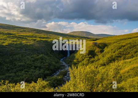 Svartifoss-Wasserfall im Skaftafell Vatnajokull-Nationalpark, Island, mit einer grünen, dramatischen Landschaft Stockfoto