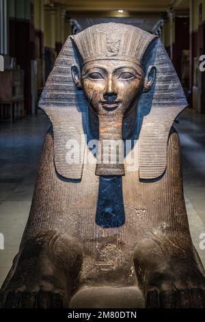 SPHINX DER KÖNIGIN HATSCHEPSUT DER 18TH DYNASTIE, ÄGYPTISCHES MUSEUM VON KAIRO, DAS DER ÄGYPTISCHEN ANTIKE GEWIDMET IST, KAIRO, ÄGYPTEN, AFRIKA Stockfoto