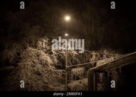 Schnee bei Nacht in Bäumen. Übernachtung in der Stadt. Stockfoto