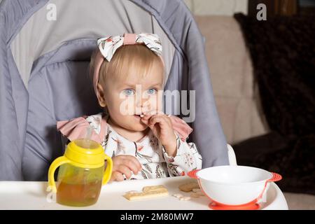 Ein süßes eineinhalb Jahre altes Mädchen sitzt in einem hohen Babystuhl und isst Kekse. Stockfoto