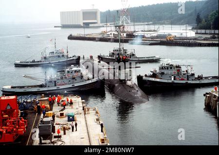 YTB-Hafenschlepper der 760. Klasse führen das nuklearbetriebene strategische Raketen-U-Boot USS OHIO (SSBN 726) aus dem Trockendock am Delta Pier. Basis: U-Boot-Stützpunkt, Bangor Bundesstaat: Washington (WA) Land: Vereinigte Staaten von Amerika (USA) Stockfoto