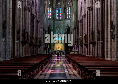 Basilika des Nationalgelübdes in Quito in Südamerika Stockfoto