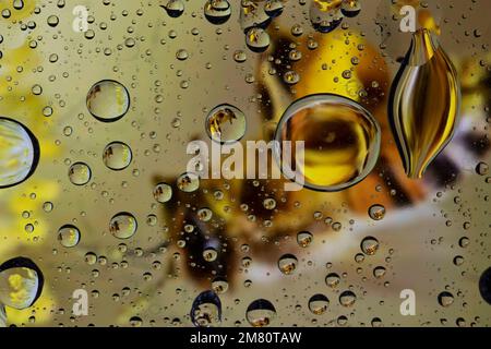Eine Biene, die durch ein Glas voller Wassertropfen gesehen wird Stockfoto