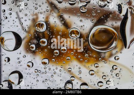 Eine Biene, die durch ein Glas voller Wassertropfen gesehen wird Stockfoto