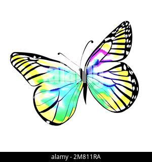 Vektor bunt, gelb, blau und schwarz Schmetterling isoliert auf weißem Hintergrund, zerbrechlich, schön, tropisches Insekt, bemalte Dekoration Stock Vektor