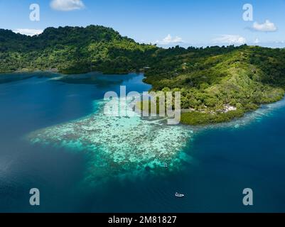 Ausgedehnte Korallenriffe säumen Regenwaldinseln auf den Salomonen. Dieses wunderschöne Land ist die Heimat einer spektakulären marinen Artenvielfalt. Stockfoto