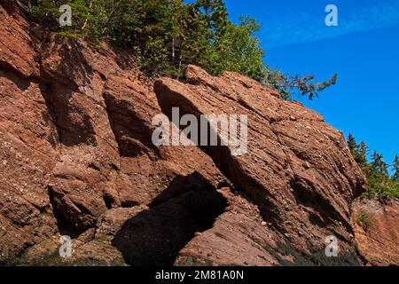 An der Küste von Hopewell Rocks, New Brunswick, hat die Natur langsam ihre eigenen Kunstwerke geschnitzt. Stockfoto