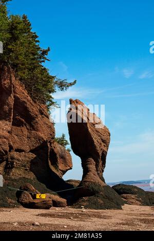 E.T Rock in Hopewell Rocks, New Brunswick. Stockfoto