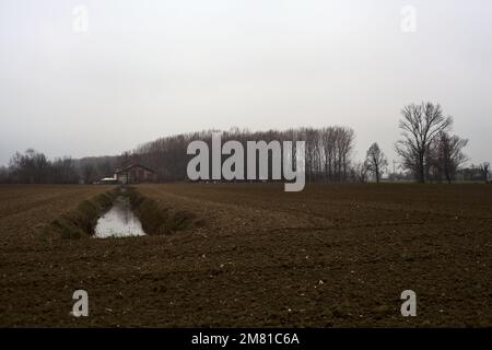 Bewässerungskanal inmitten von Ackerfeldern mit einem Wald im Hintergrund an einem bewölkten Tag in der italienischen Landschaft im Winter Stockfoto