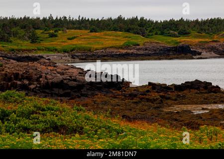 Die wunderschönen Farben entlang der Küste der Long Island Conservation Lands, Nova Scotia. Stockfoto