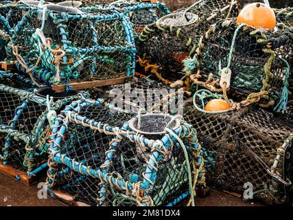 Ein Stapel Hummertöpfe von Fischern, die im Hafen trocknen Stockfoto