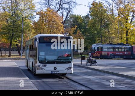 Ein Bild eines Bukarest-Busses im Herbst. Stockfoto