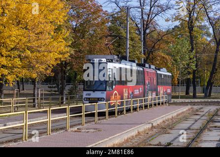 Ein Bild einer Bukarest-Straßenbahn im Herbst. Stockfoto