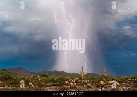 Monsunsturm mit starkem Regen und Blitzschlag in der Wüste von Arizona Stockfoto