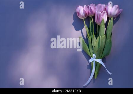 Wunderschöner Strauß lilafarbener Tulpen auf lilafarbenem Hintergrund mit Kopierbereich Stockfoto