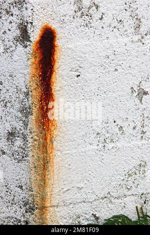 Rostig und verkrustet auf der zarten weißen Farbe des Brier Island Lighthouse. Stockfoto