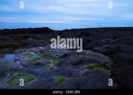 Die Bucht von Fundy zwischen den Gezeiten entlang der Küste von Nova Scotia. Stockfoto