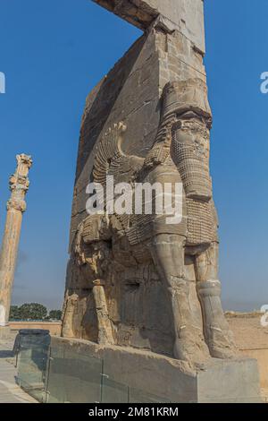 Stierkörper und Menschenkopfstatue am Tor der Nationen in Persepolis, Iran Stockfoto