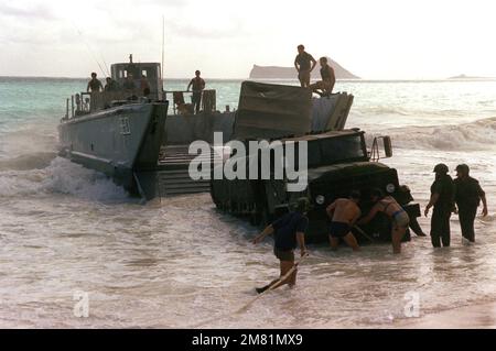 Marines befestigen Abschleppseile an einem 2 1/2-Tonnen-Lkw, der nach dem Beladen von einem mechanisierten Landefahrzeug (LCM Mark 8) während des Betriebs KERNAL BLITZ im Sand feststeckte. Betreff Betrieb/Serie: KERNAL BLITZ Base: Bellows Beach, Oahu Bundesstaat: Hawaii (HI) Land: Vereinigte Staaten von Amerika (USA) Stockfoto