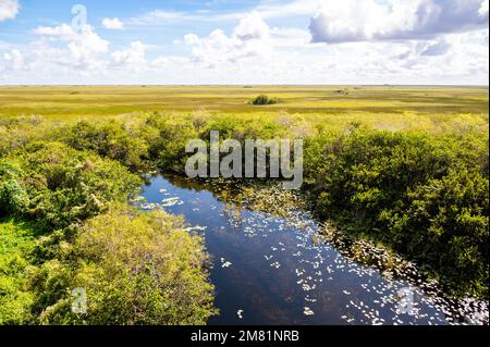 Im Shark Valley, Everglades-Nationalpark, Florida Stockfoto