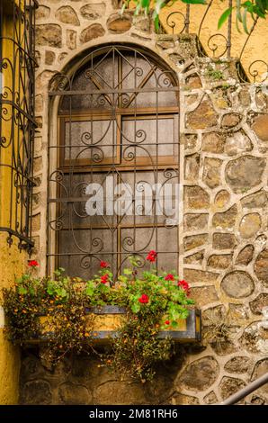 Ein vertikales Bild eines antiken Fensters mit Blumen Stockfoto