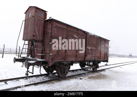 Ein Zugwagen aus dem Zweiten Weltkrieg brachte juden in das Konzentrationslager Auschwitz Birkenau; im Winter Schnee; Auschwitz Museum, Oswiecim, Polen Stockfoto