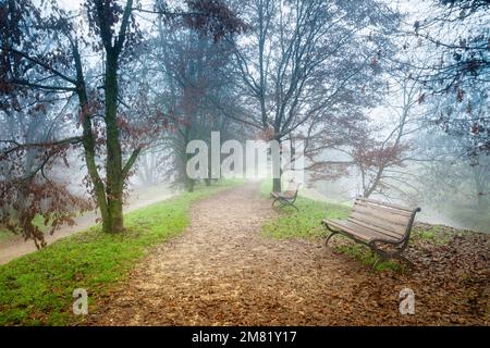 Italien, Lombardei, Crema, Parco del Serio, hölzerne Parkbank und Boden mit bunten Herbstblättern bedeckt Stockfoto