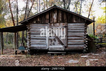 Ein geschlossener Schuppen im Wald während des Tages in Florida Stockfoto