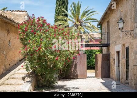 Historisches Weingut Bodega Ribas, Connell, Mallorca, Spanien Stockfoto