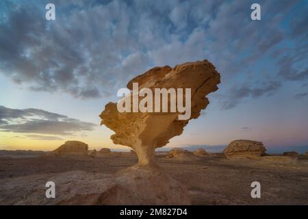 Weiße Wüste in Westägypten im Januar 2022 Stockfoto