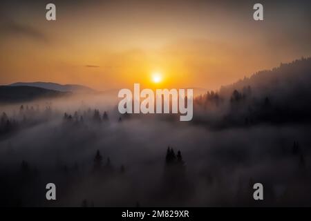 Sonnenaufgang über dem Wald mit Morgennebel zwischen den Bäumen Stockfoto