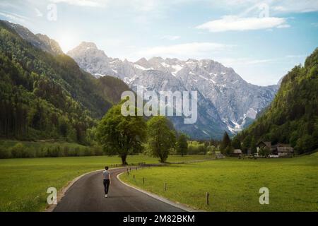 Das Logar Valley in den Julischen Alpen, Slowenien, führt im Juni 2022 Stockfoto