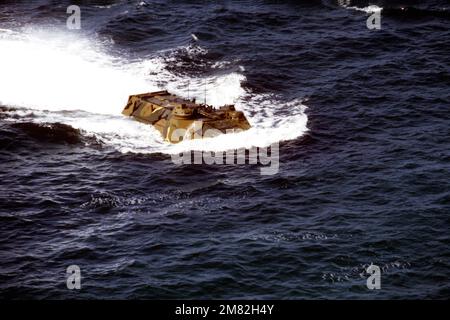 Ein Amphibienfahrzeug des US Marine Corps AAVP-7 bewegt sich in Richtung Küste, mit einer Gruppe kolumbianischer Marines, die den Strand in Naval Station, Roosevelt Roads, Puerto Rico, angreifen werden, als Teil der UNITAS XXV, einer Übung, an der Kräfte aus den USA und sechs südamerikanischen Nationen beteiligt sind. Betreff Betrieb/Serie: UNITAS XXV Land: Atlantik (AOC) Stockfoto