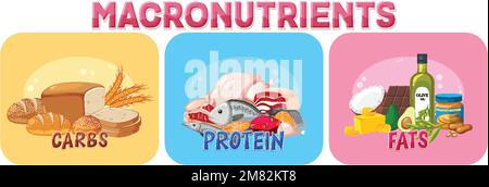 Macronutrients diagram with food ingredients illustration Stock Vektor