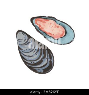 Darstellung von Muscheln in handgezeichneter Aquarellfarbe, isoliert auf weißem Hintergrund. Vektor-Konstruktionselement. Stock Vektor