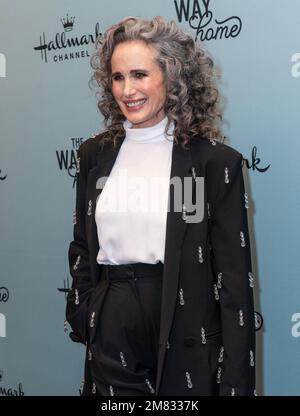 Andie MacDowell trägt das Kleid von Michael Lo Sordo und besucht am 11. Januar 2023 die New Yorker Premiere des Way Home im Whitby Hotel in New York Stockfoto