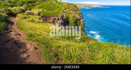 Hohe Klippen mit Blick auf die Pazifikküste am Ohai Trail Maui, Hawaii, USA Stockfoto