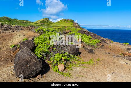 Hohe Klippen mit Blick auf die Pazifikküste am Ohai Trail Maui, Hawaii, USA Stockfoto