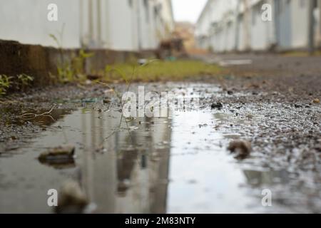 Stagnierende Wasserszene nach Regen in der vorstädtischen Asphaltstraße Stockfoto