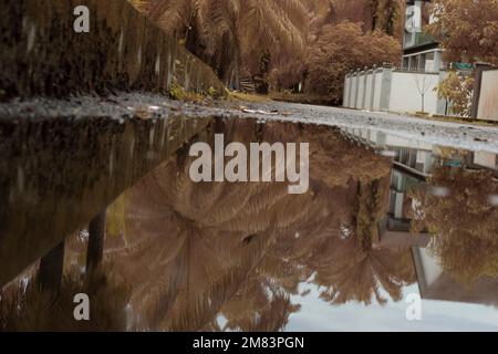 Stagnierende Wasserszene nach Regen in der vorstädtischen Asphaltstraße Stockfoto
