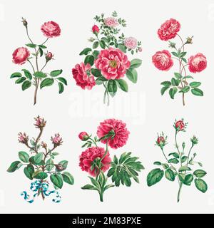 Blumenvektor Vintage Art Print Set, remixed von Kunstwerken von John Edwards Stock Vektor